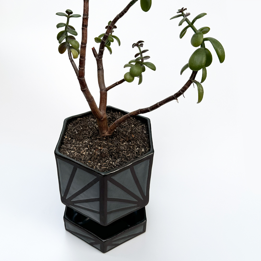 A hexagonal black stoneware planter that is attached to its drip tray in a stilted fashion.