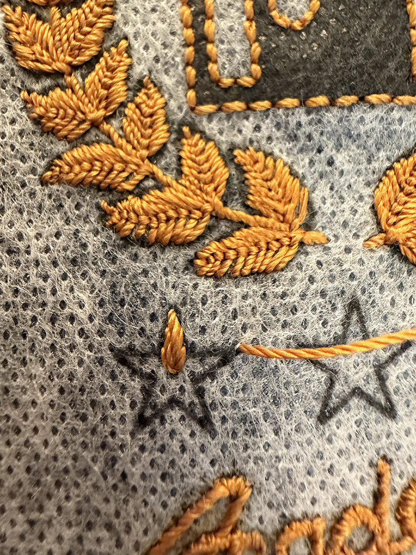 The first point of the first star made in very tight ray stitch.