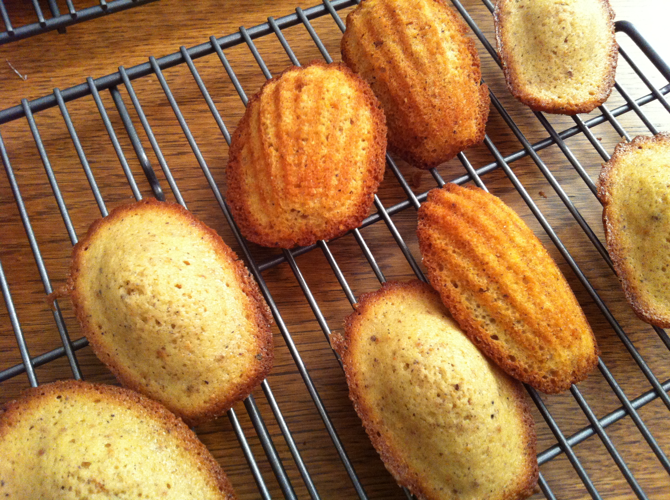 Hazelnut madeleines