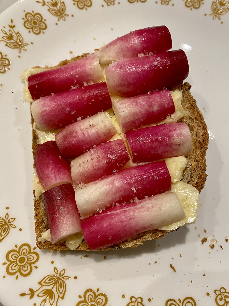 Photo of a piece of toast topped with butter, halved thin French breakfast radishes, and noticeable salt crystals on a plate