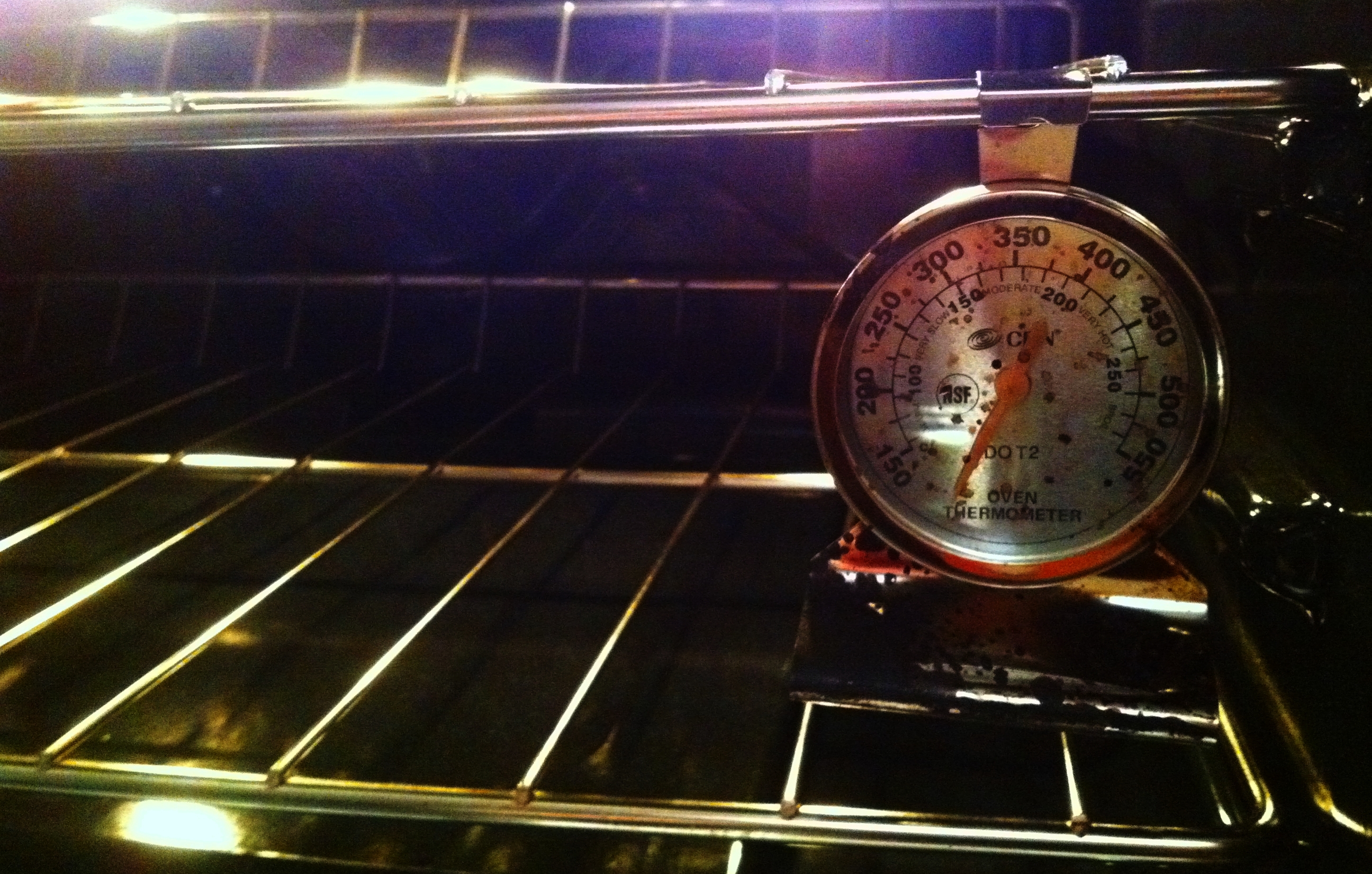 One of my oven thermometers; there's another on the other side and one built into my oven, too