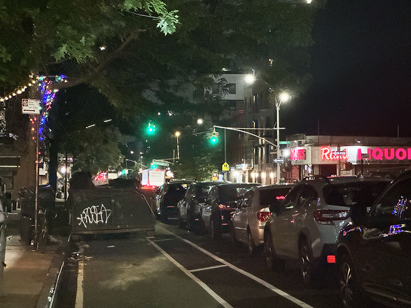 Dumpster blocking the Bedford Avenue protected bike path just south of Clifton Pl